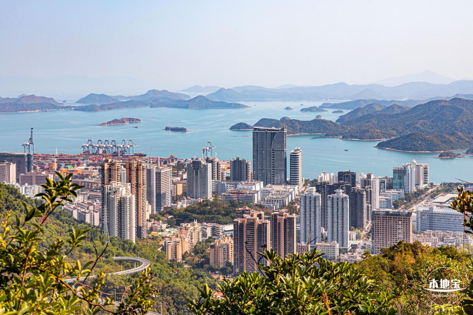 梧桐山
