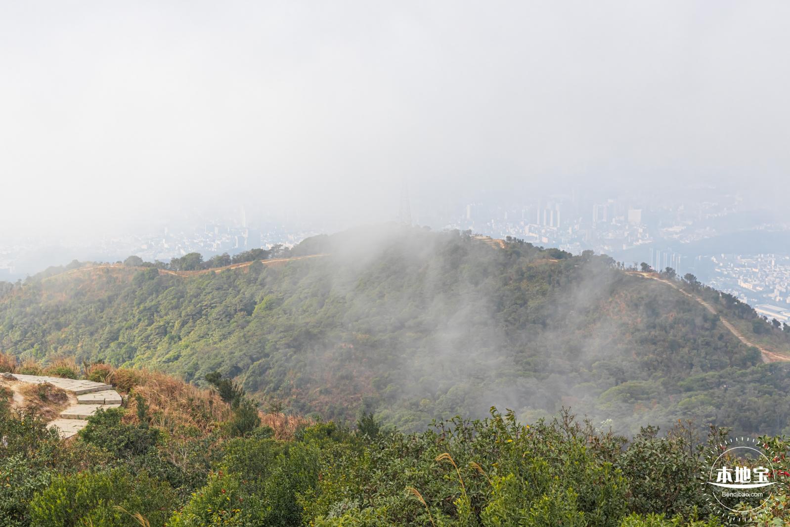 梧桐山