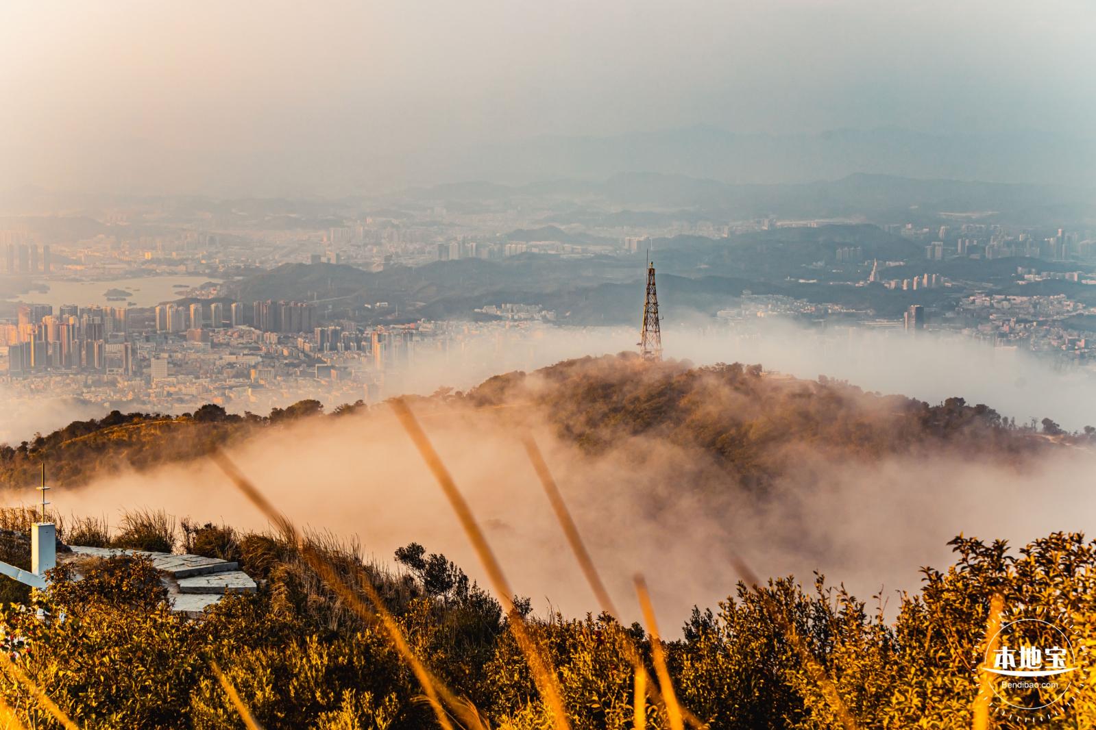 梧桐山