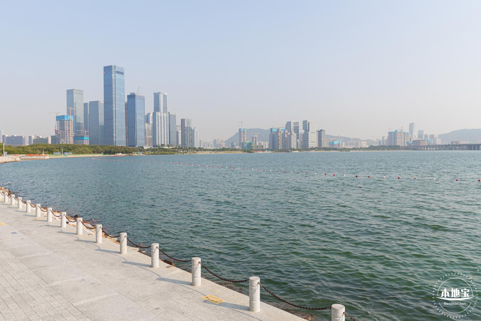 欢乐港湾马鞭草