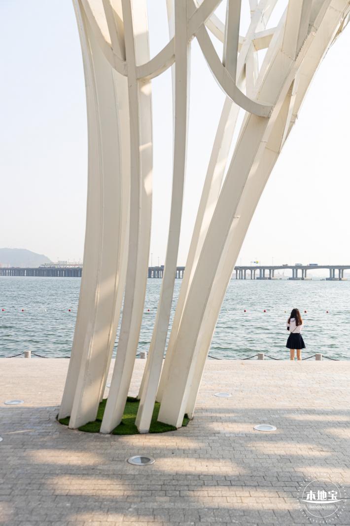 欢乐港湾马鞭草