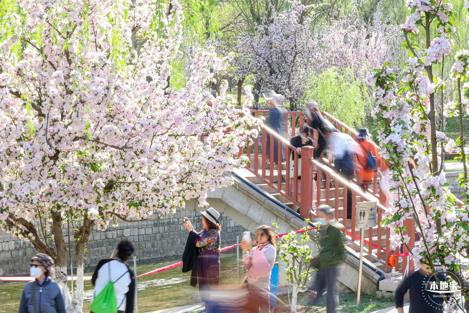 元大都遗址海棠花溪