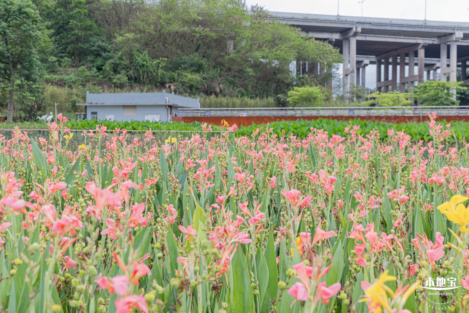 甘坑都市田园