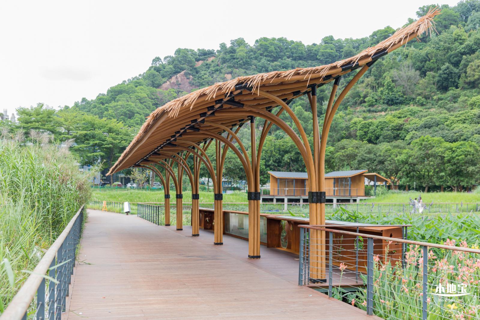 甘坑都市田园