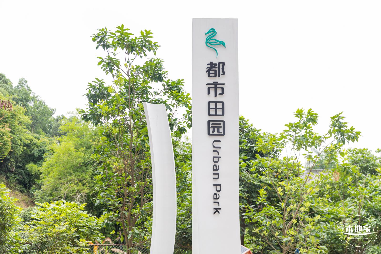 甘坑都市田园