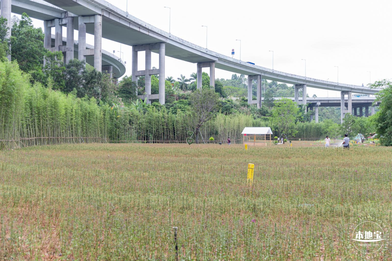 甘坑都市田园