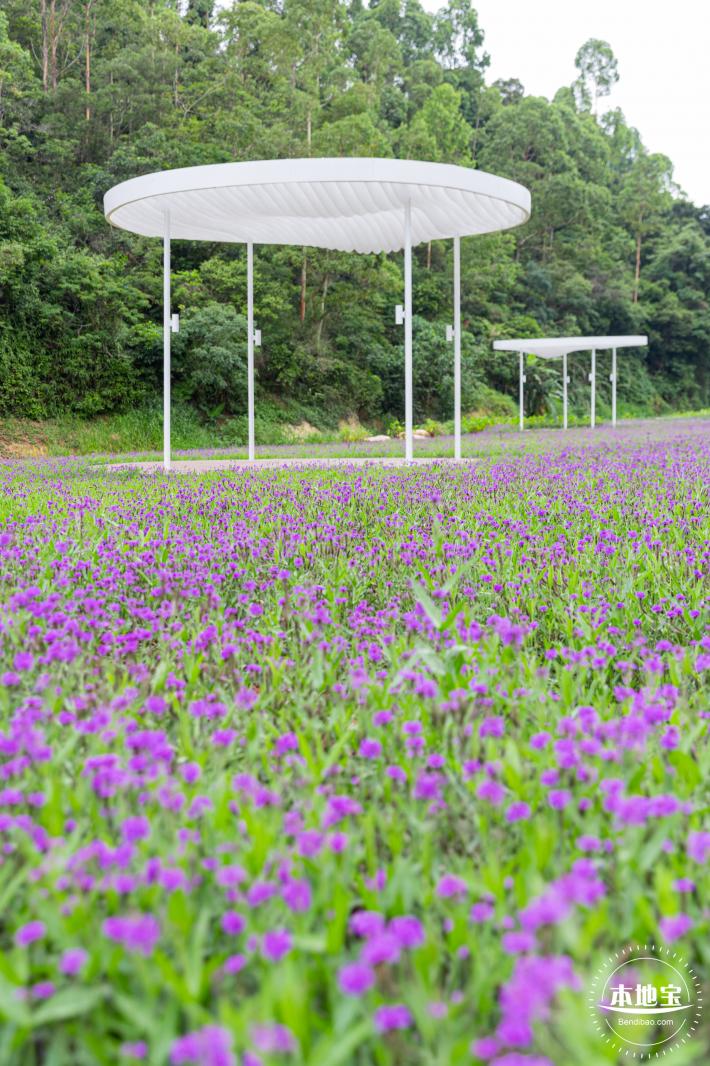 甘坑都市田园