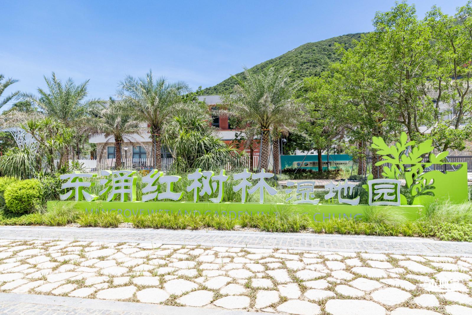 东涌红树林湿地园
