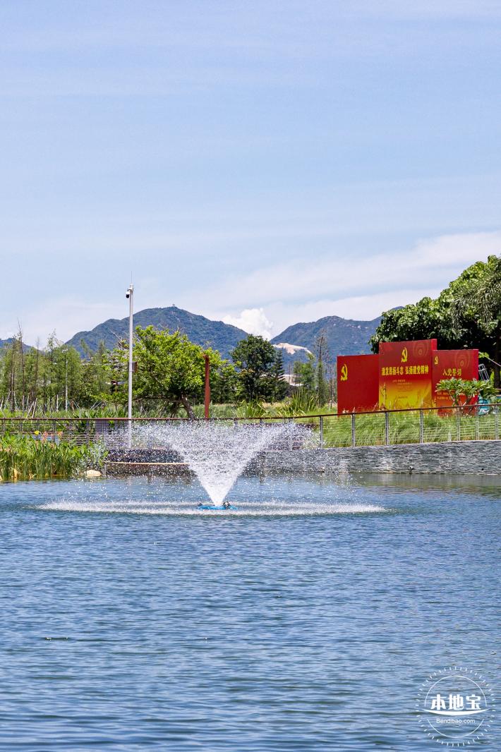 东涌红树林湿地园