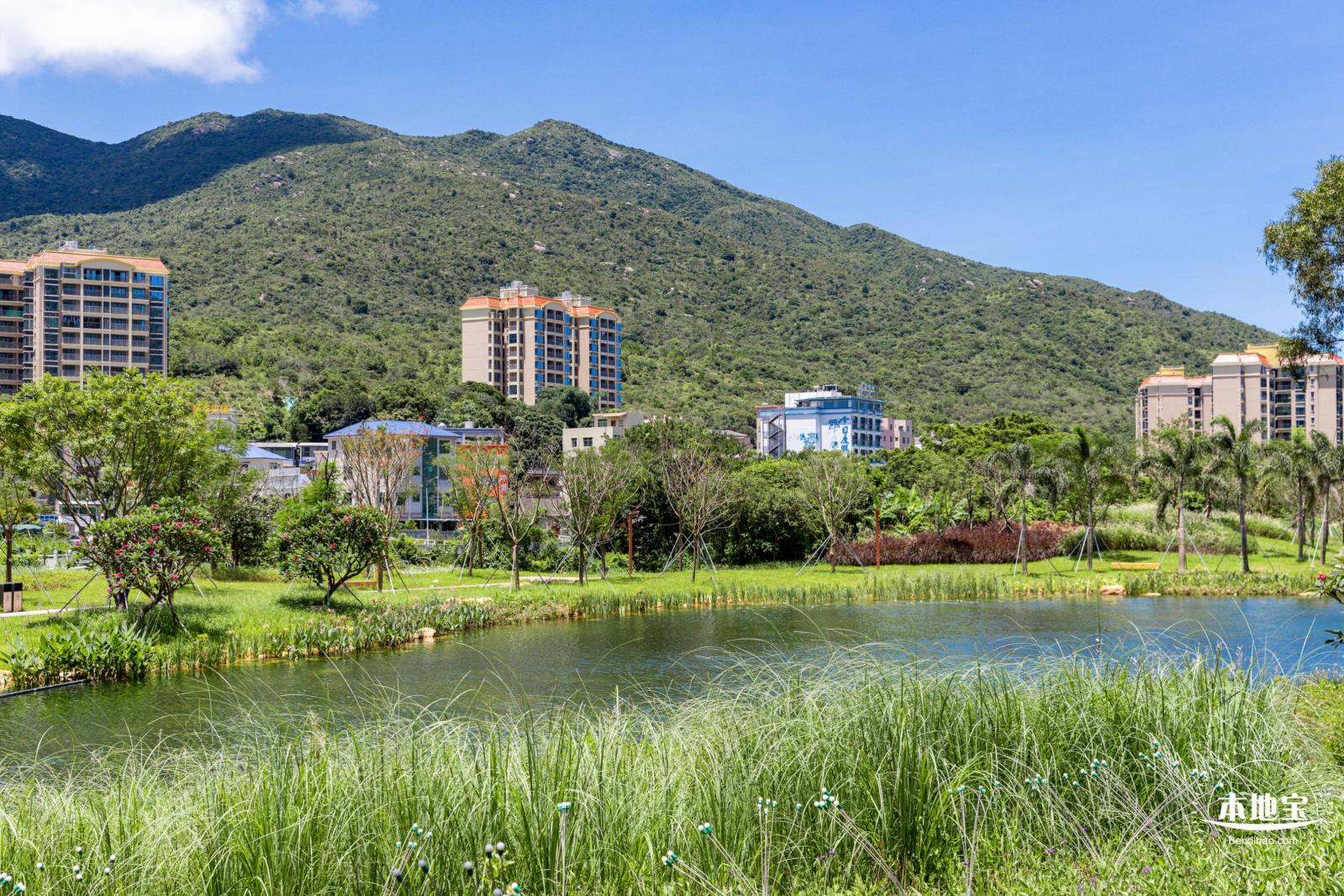 东涌红树林湿地园