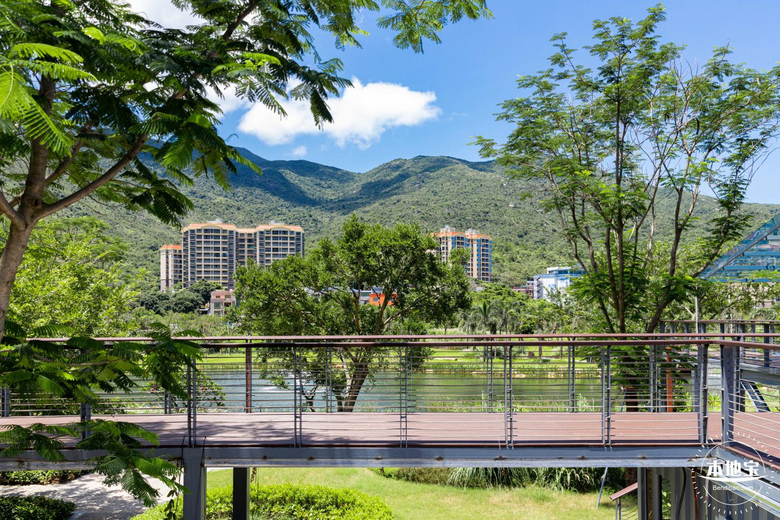 东涌红树林湿地园