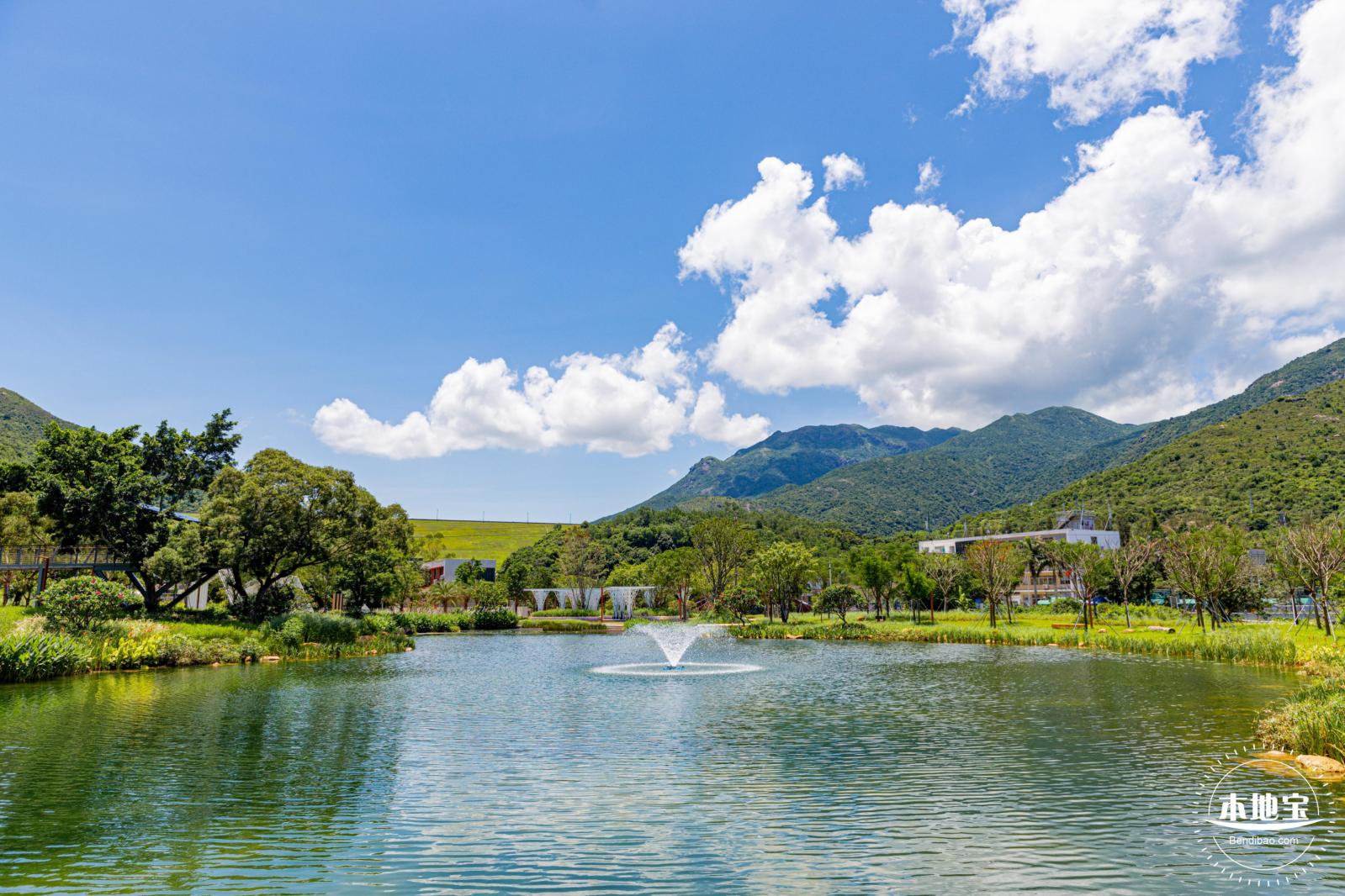 东涌红树林湿地园