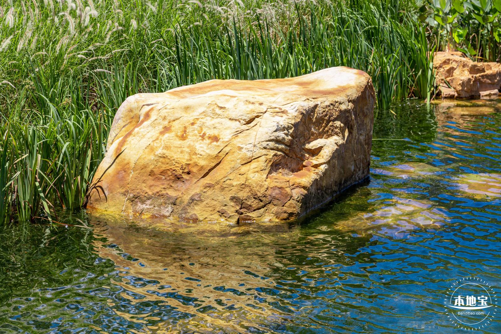 东涌红树林湿地园