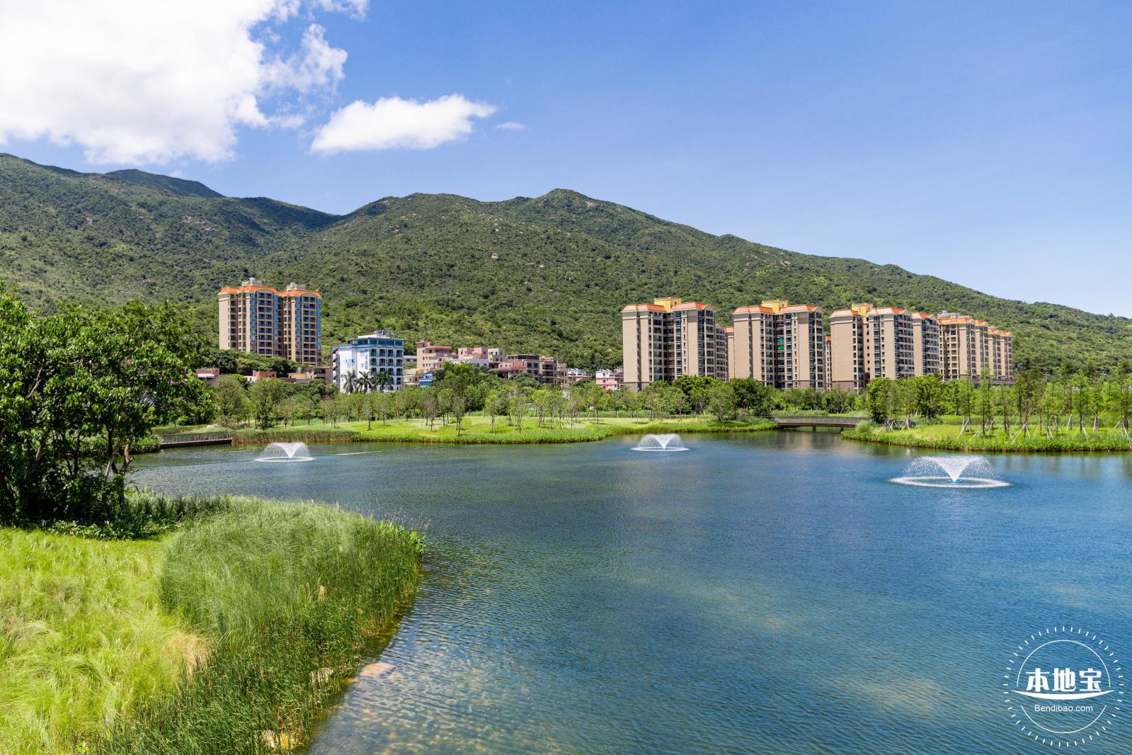 东涌红树林湿地园