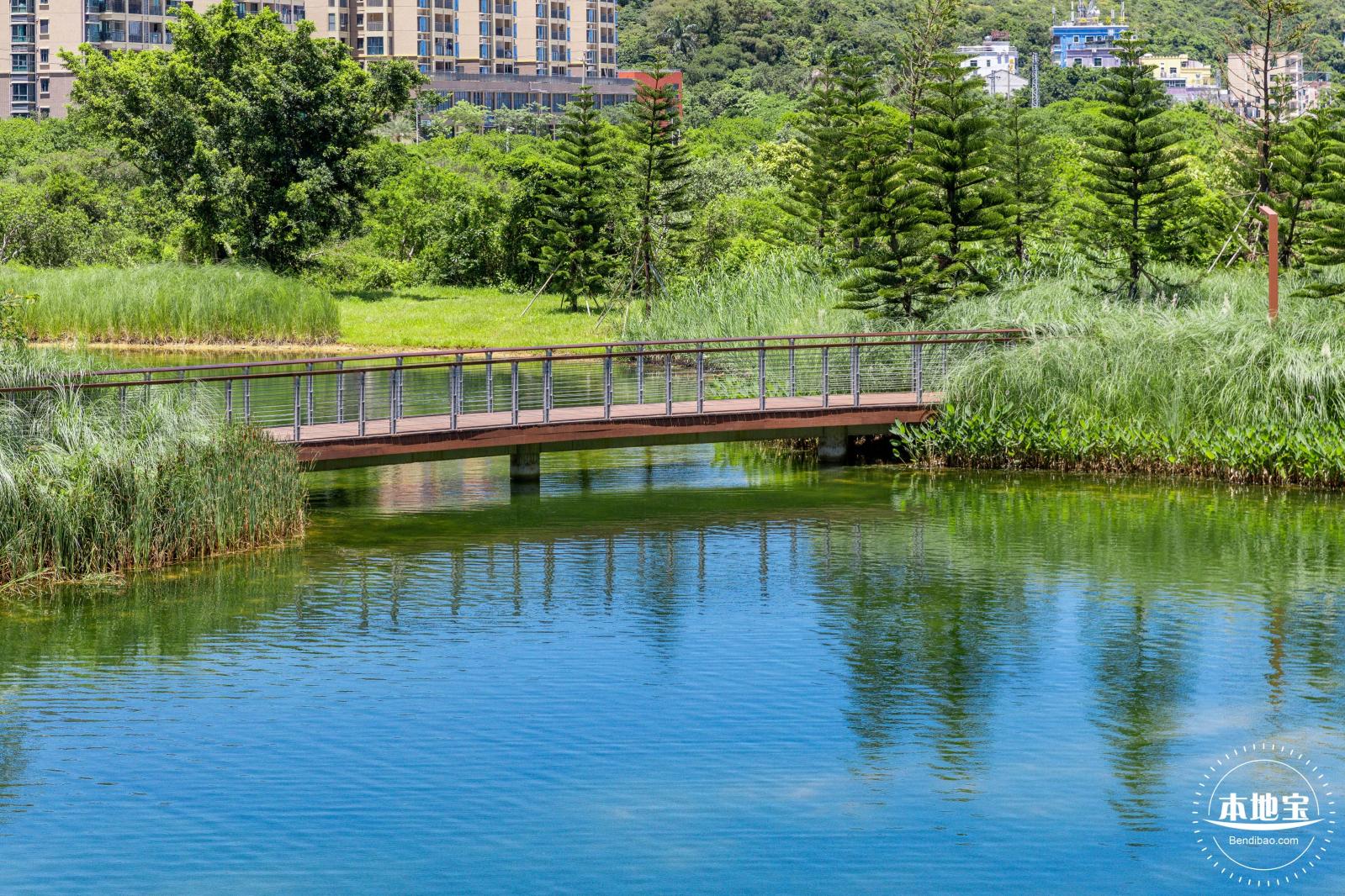 东涌红树林湿地园