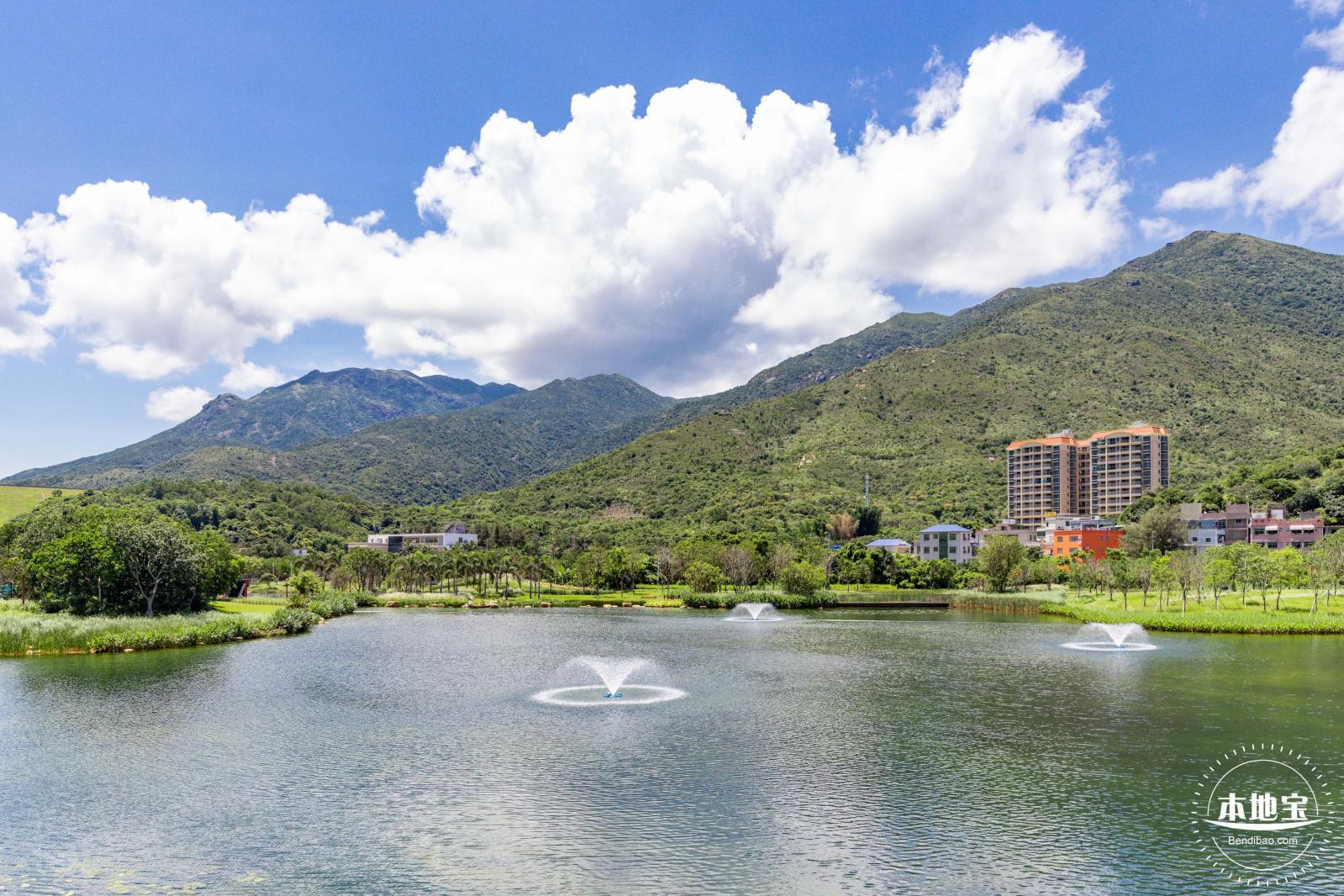 东涌红树林湿地园