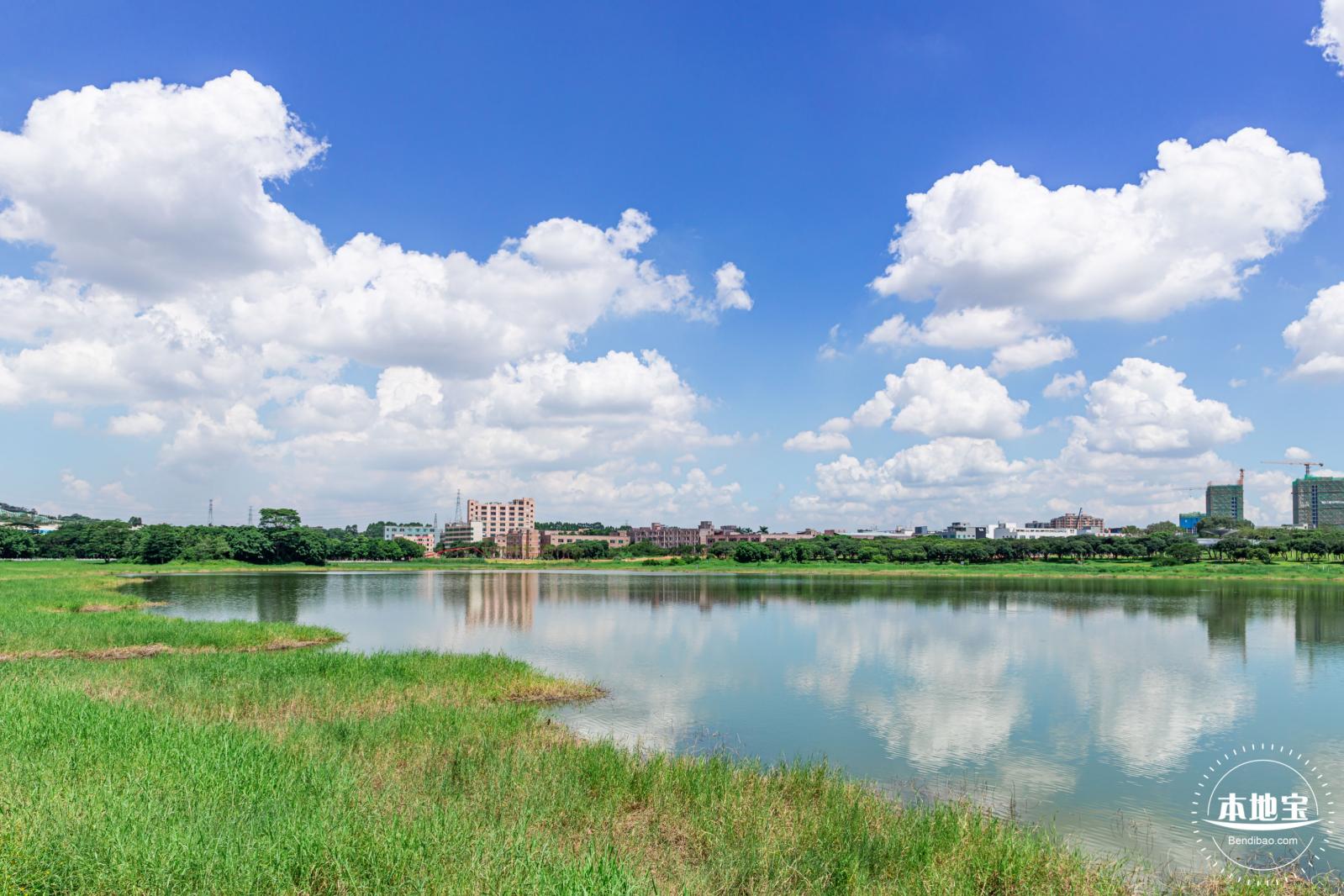明湖城市公园