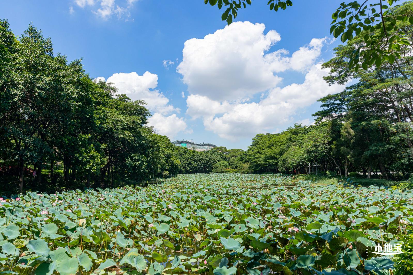 明湖城市公园