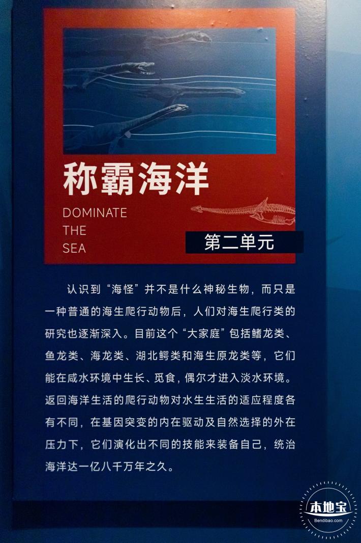 展览：向海之旅