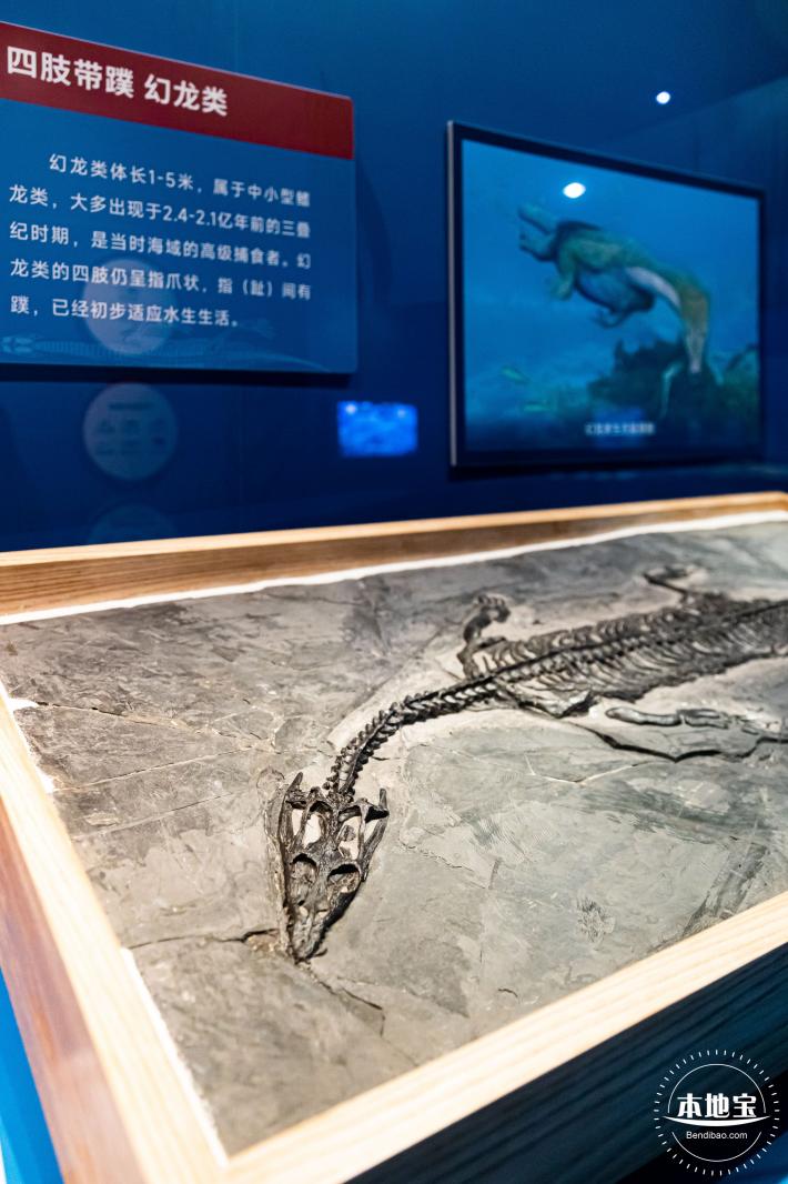 展览：向海之旅