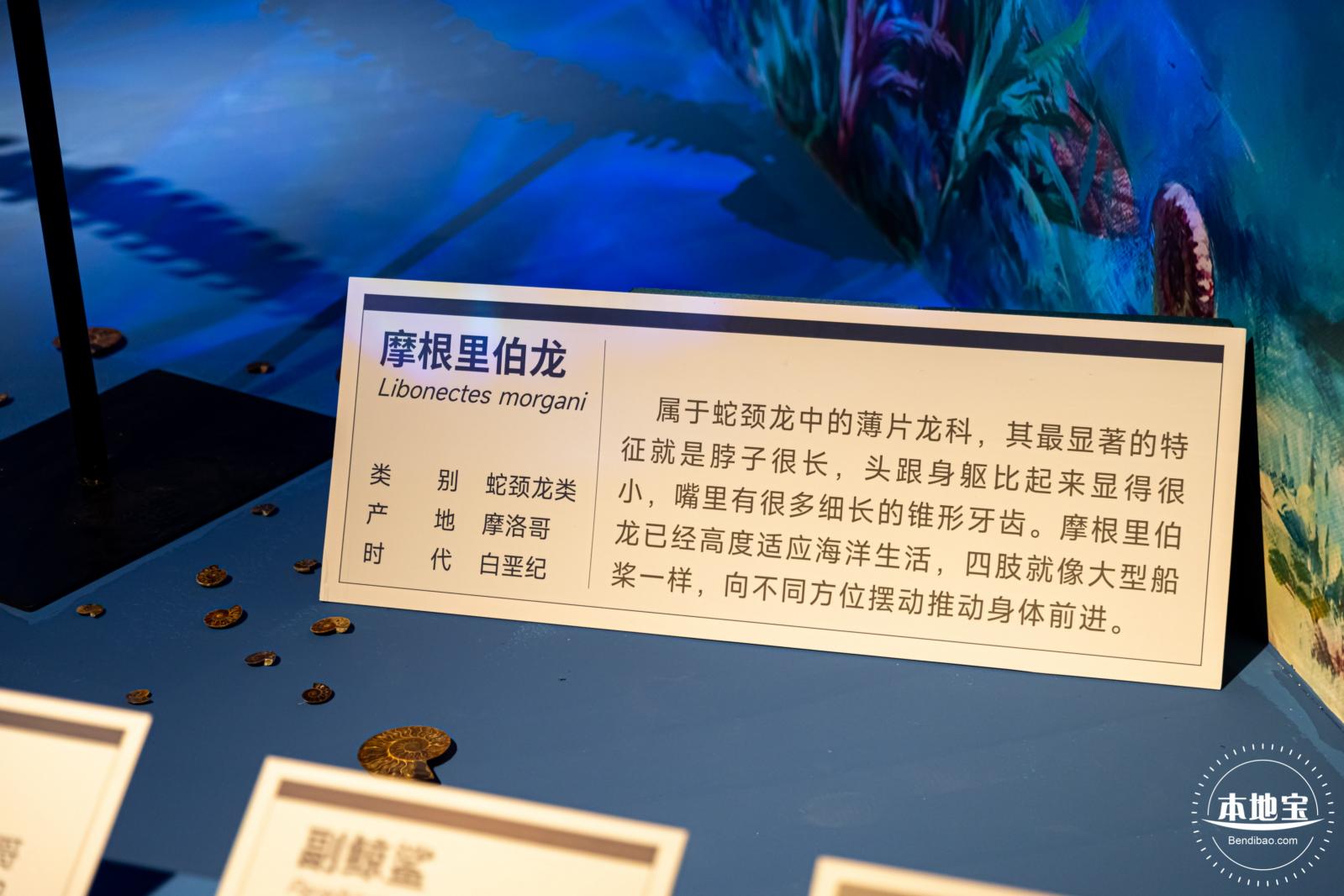 展览：向海之旅