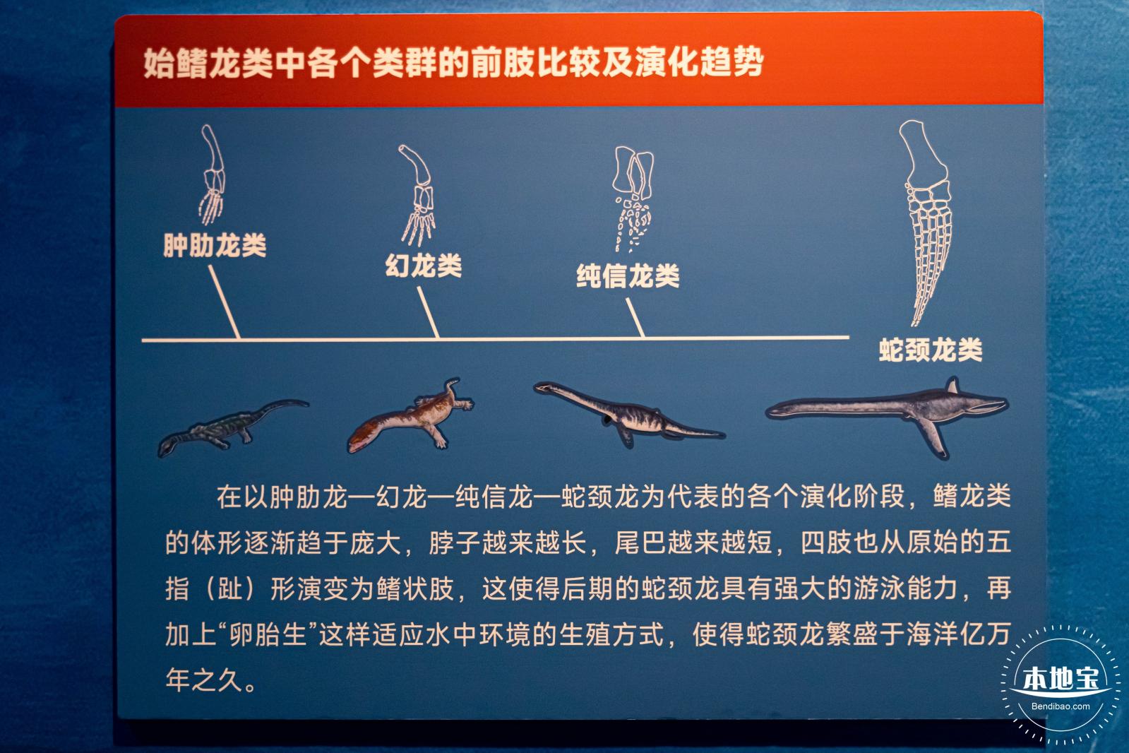 展览：向海之旅