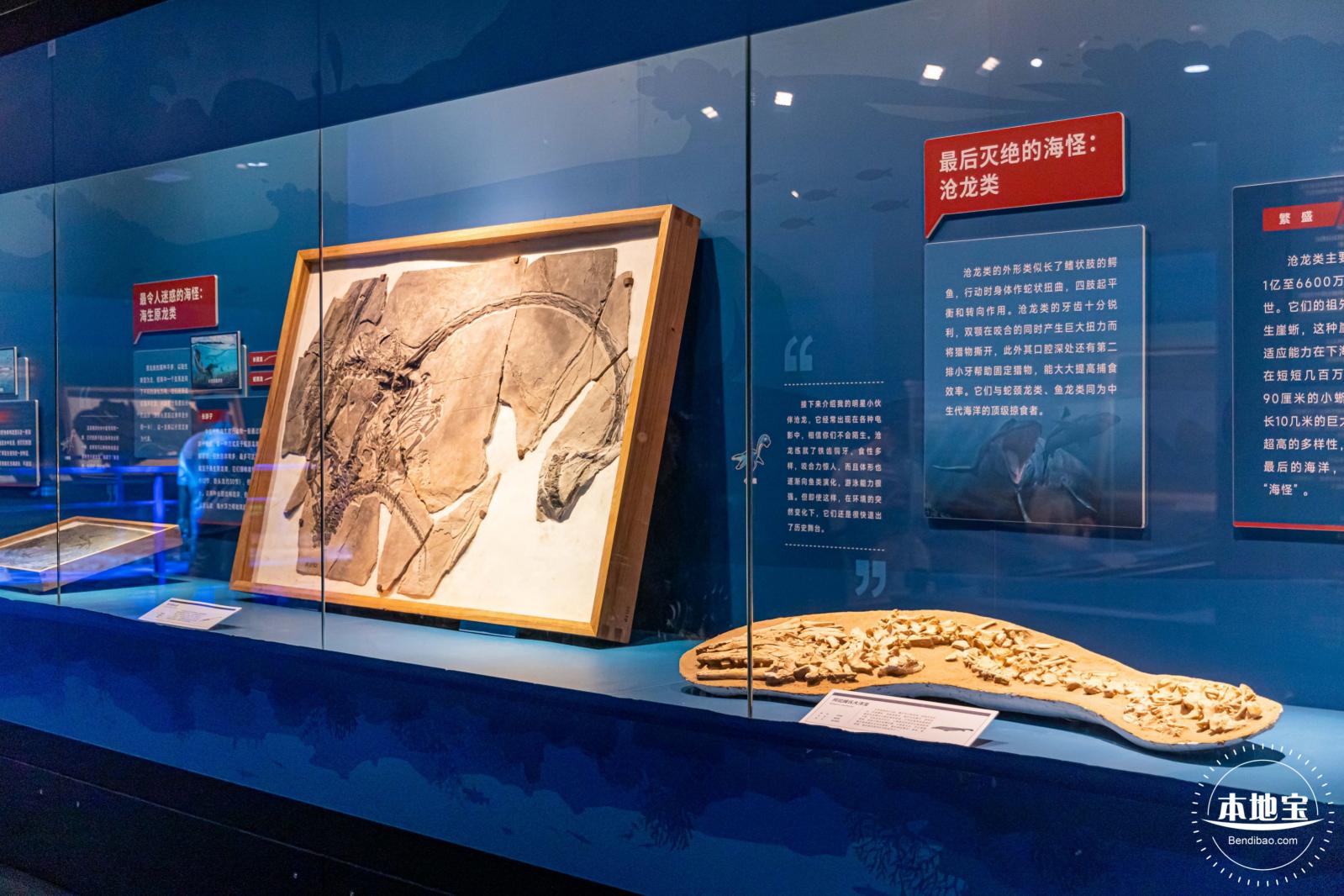 展览：向海之旅