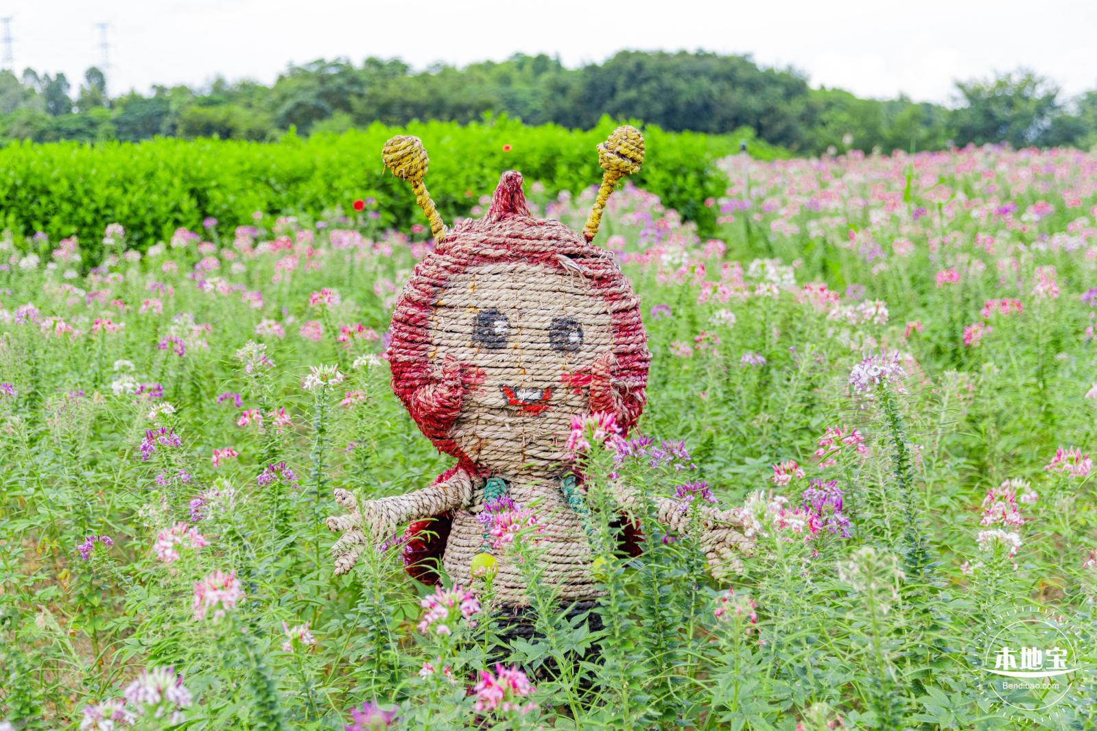 观澜版画村花海