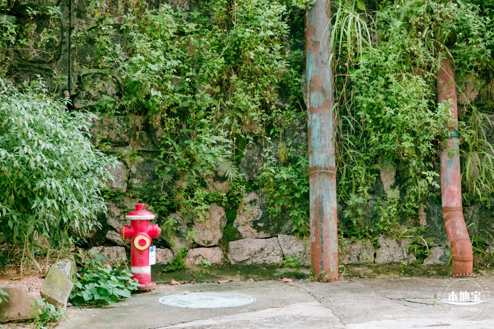 鹊山老村