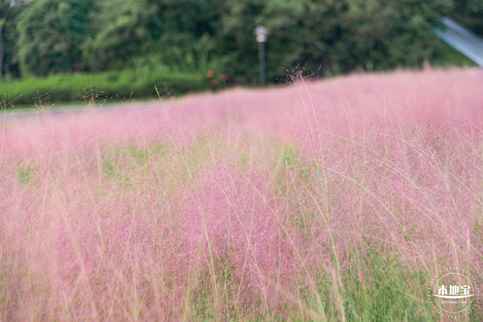 陌上花公园