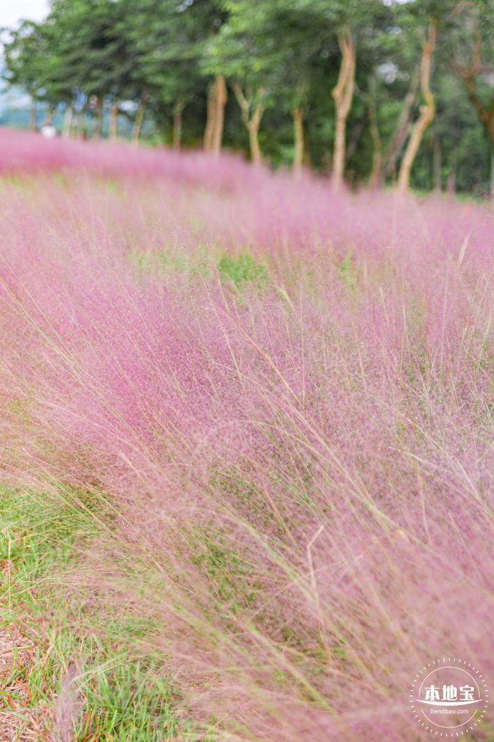 陌上花公园
