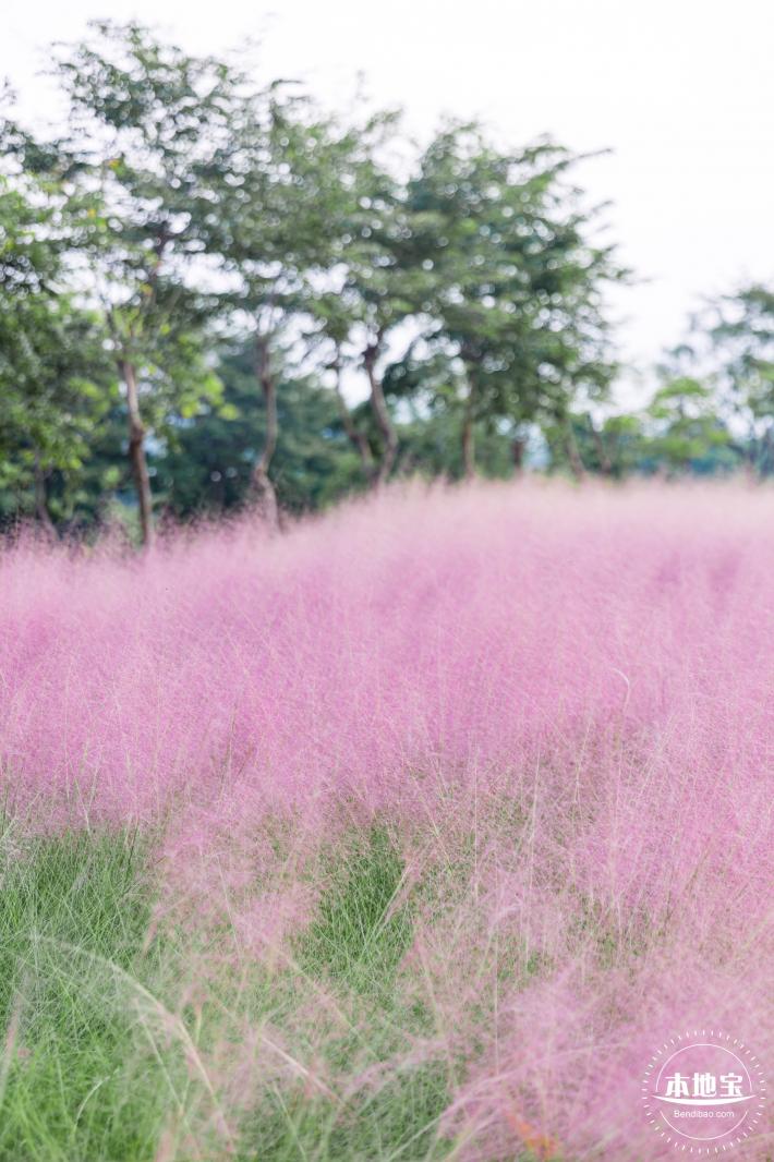 陌上花公园