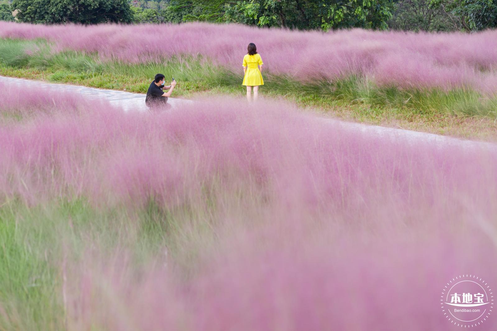 陌上花公园