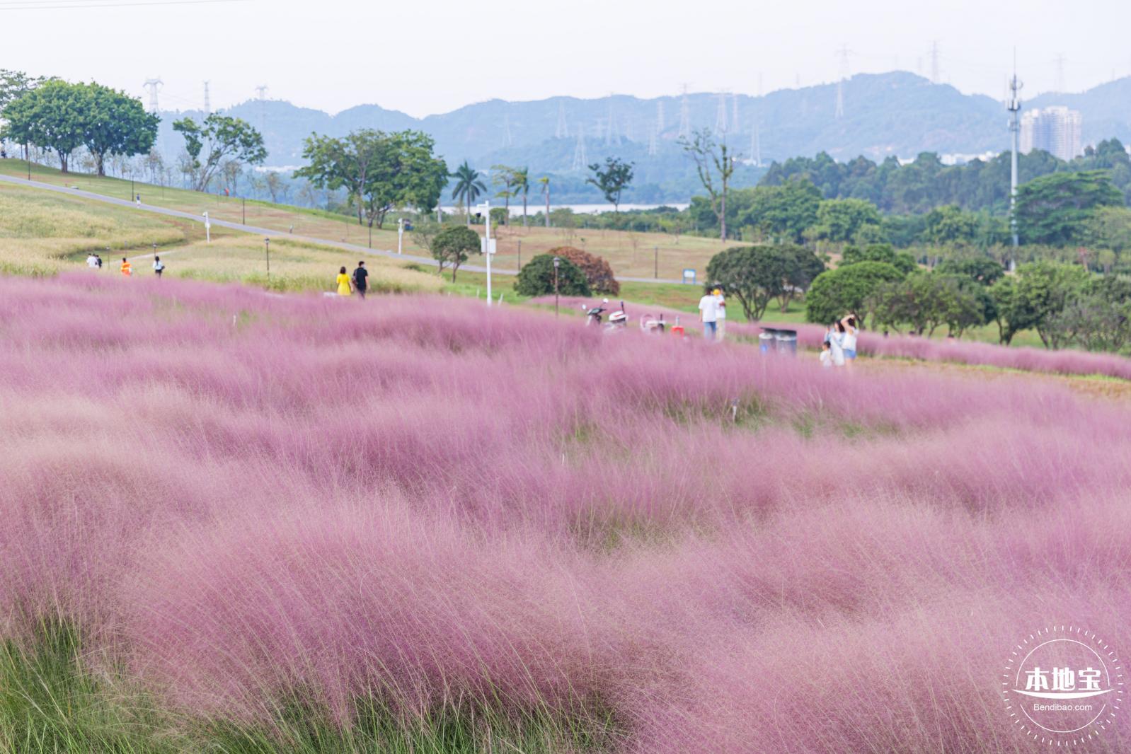 陌上花公园