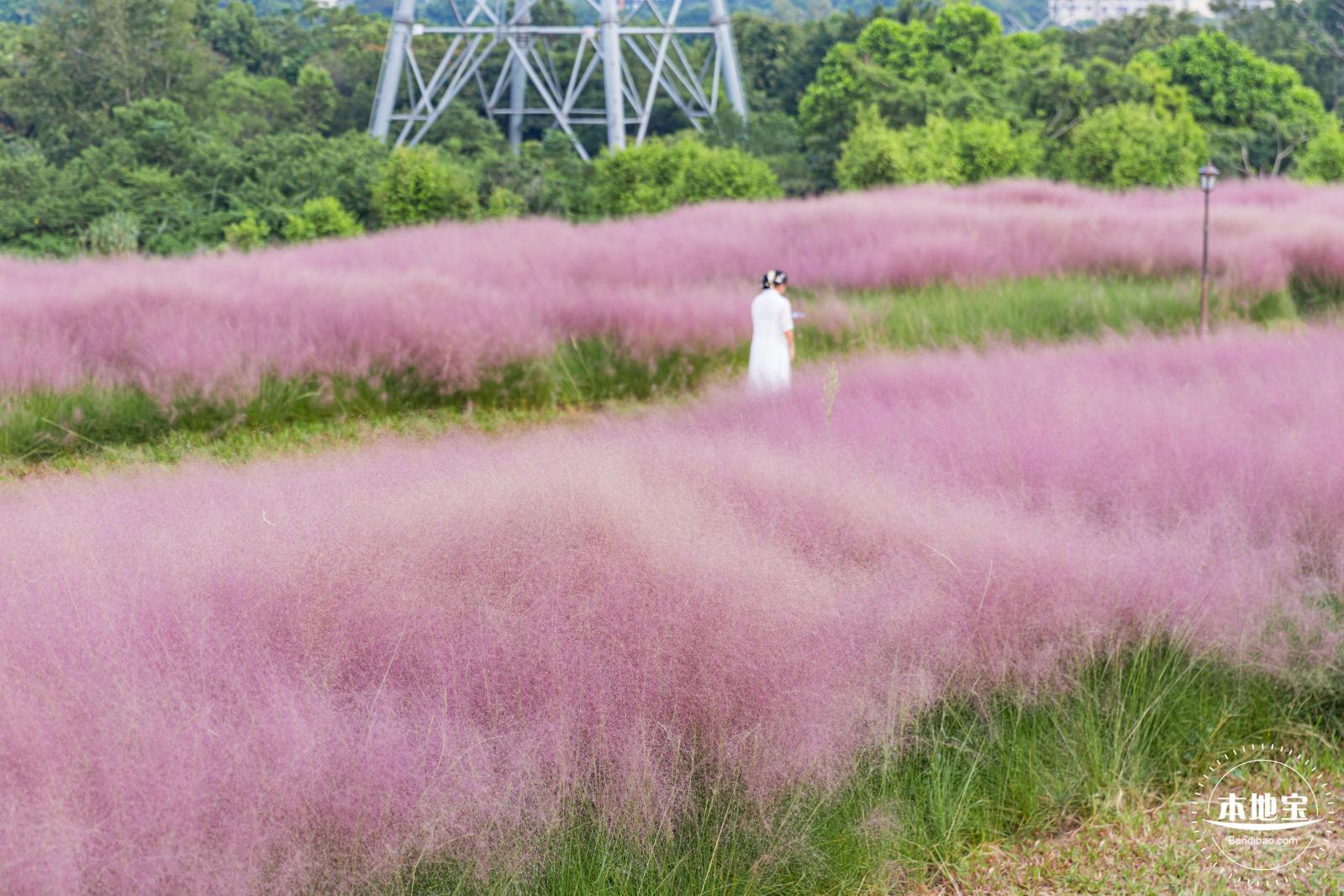 陌上花公园