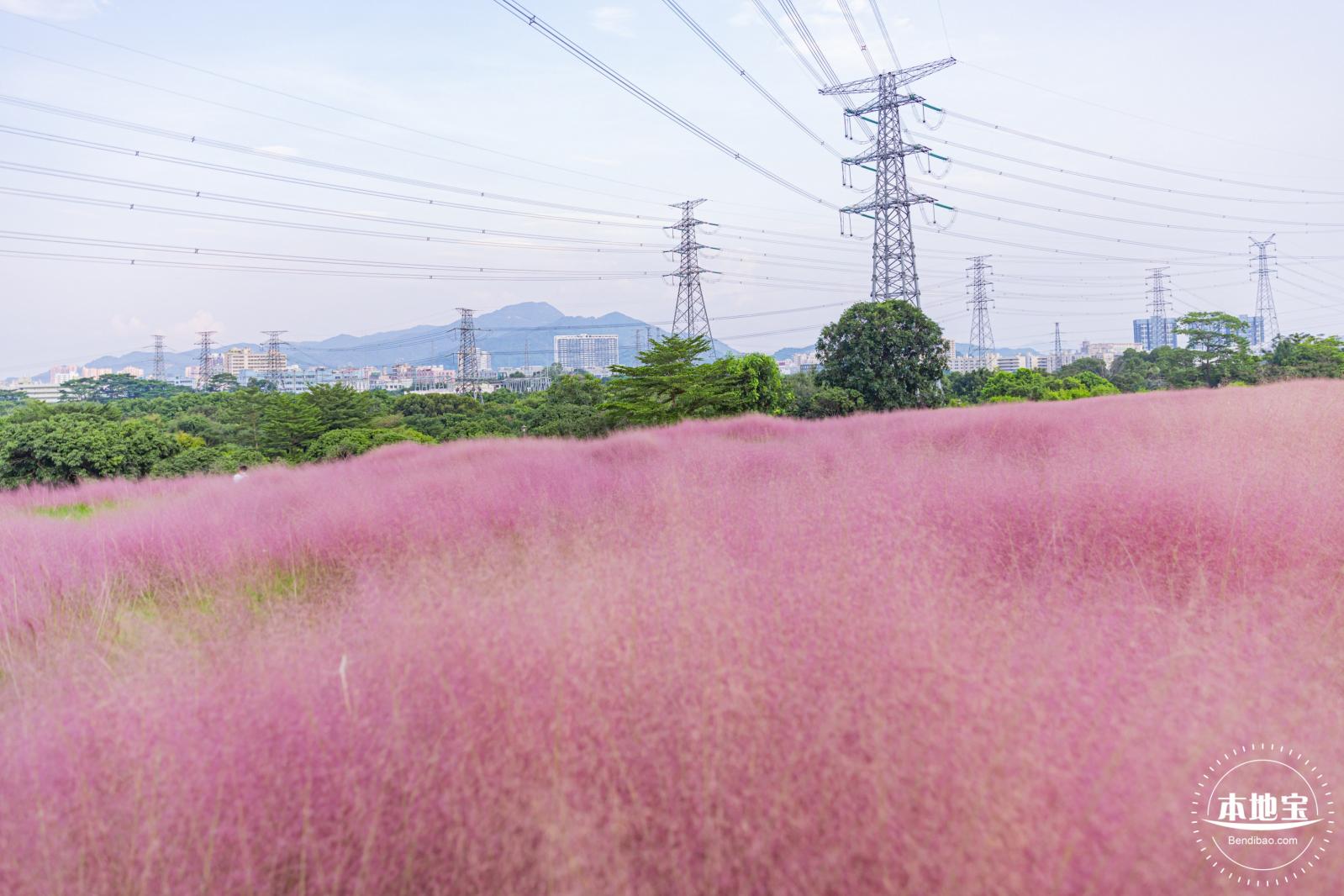 陌上花公园