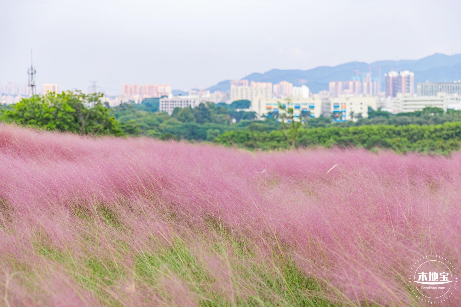 陌上花公园