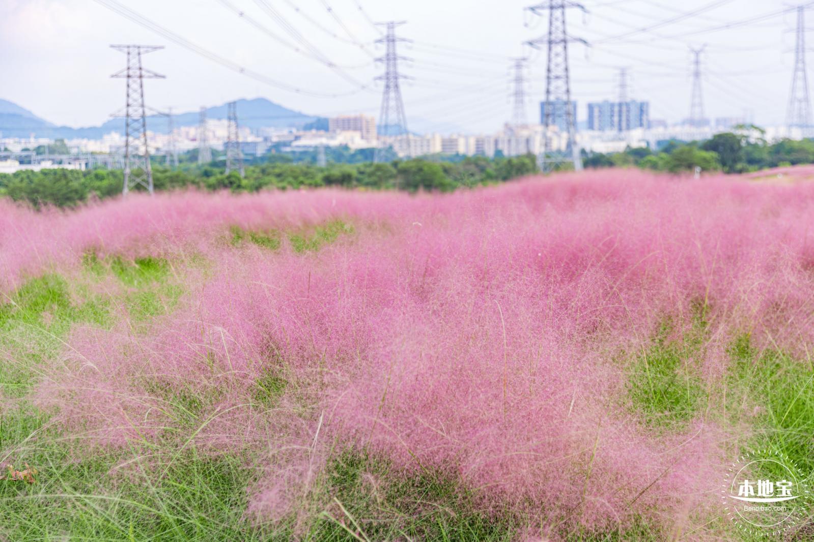 陌上花公园