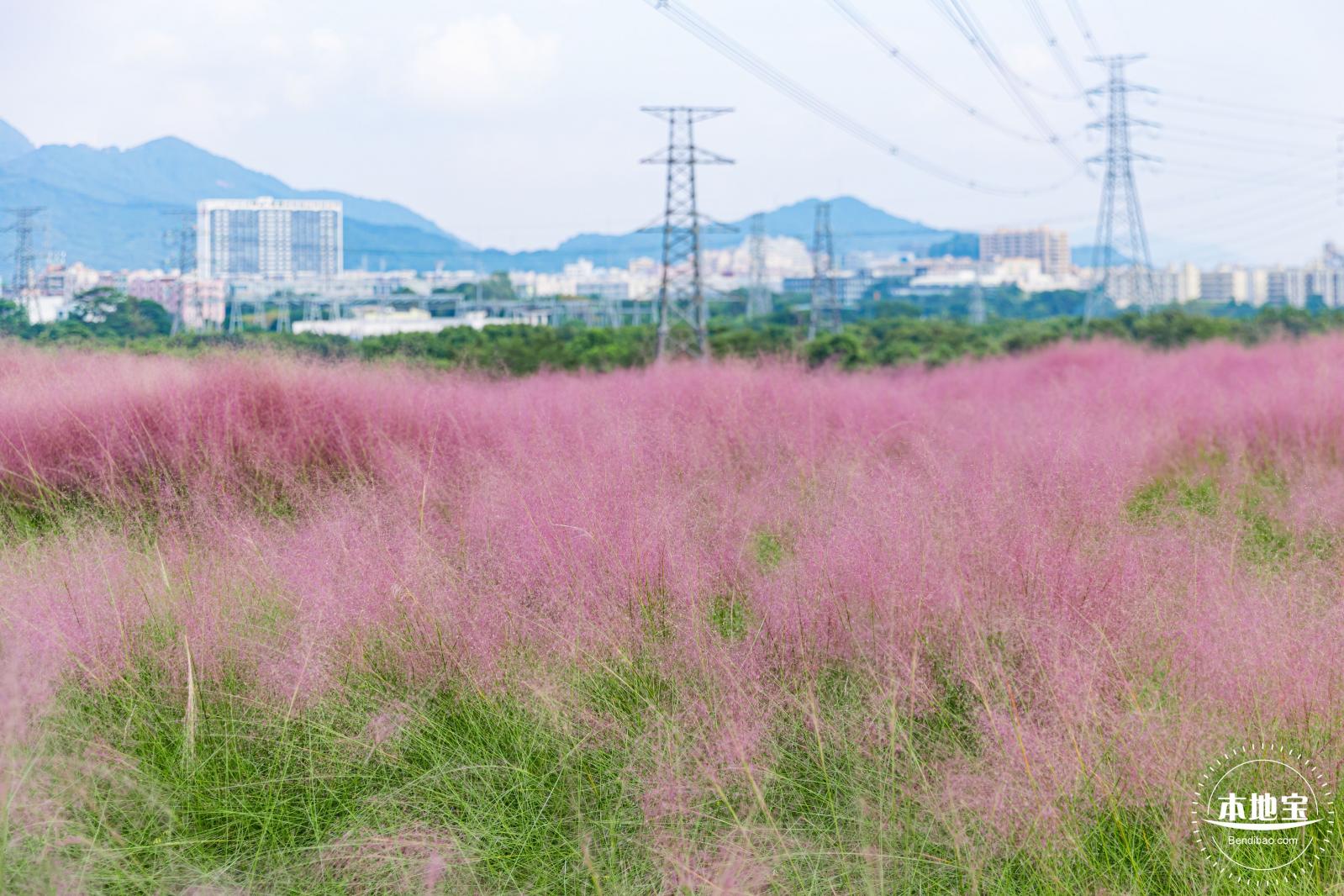 陌上花公园