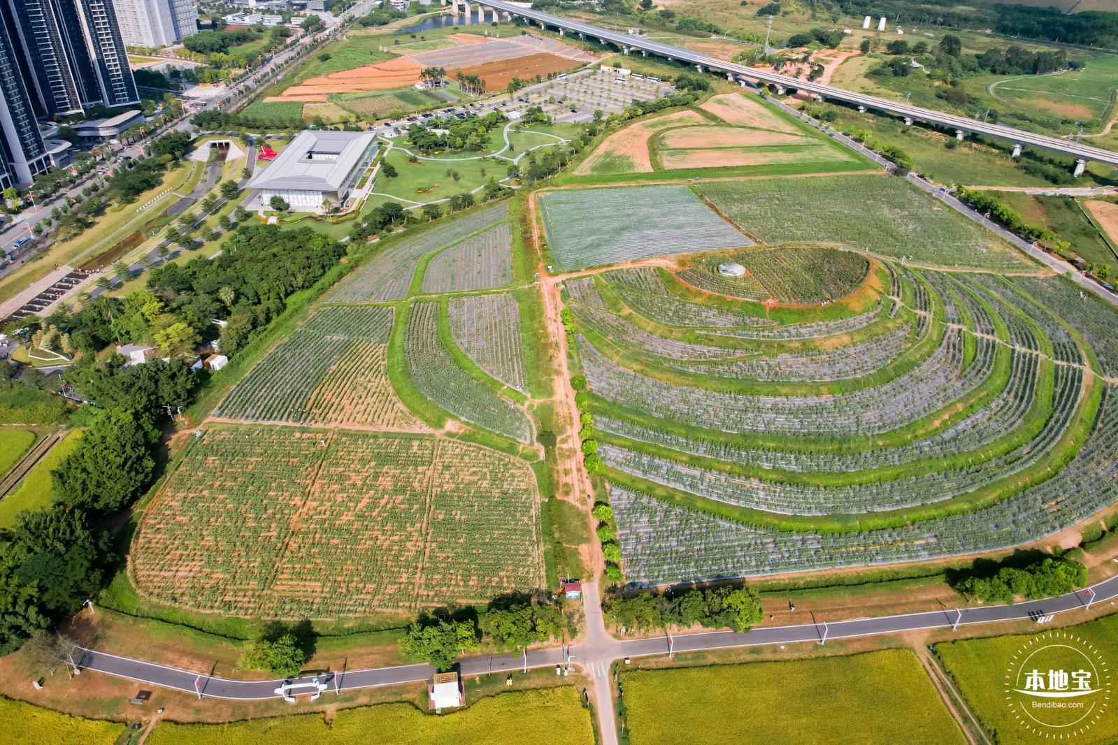 光明欢乐田园风光