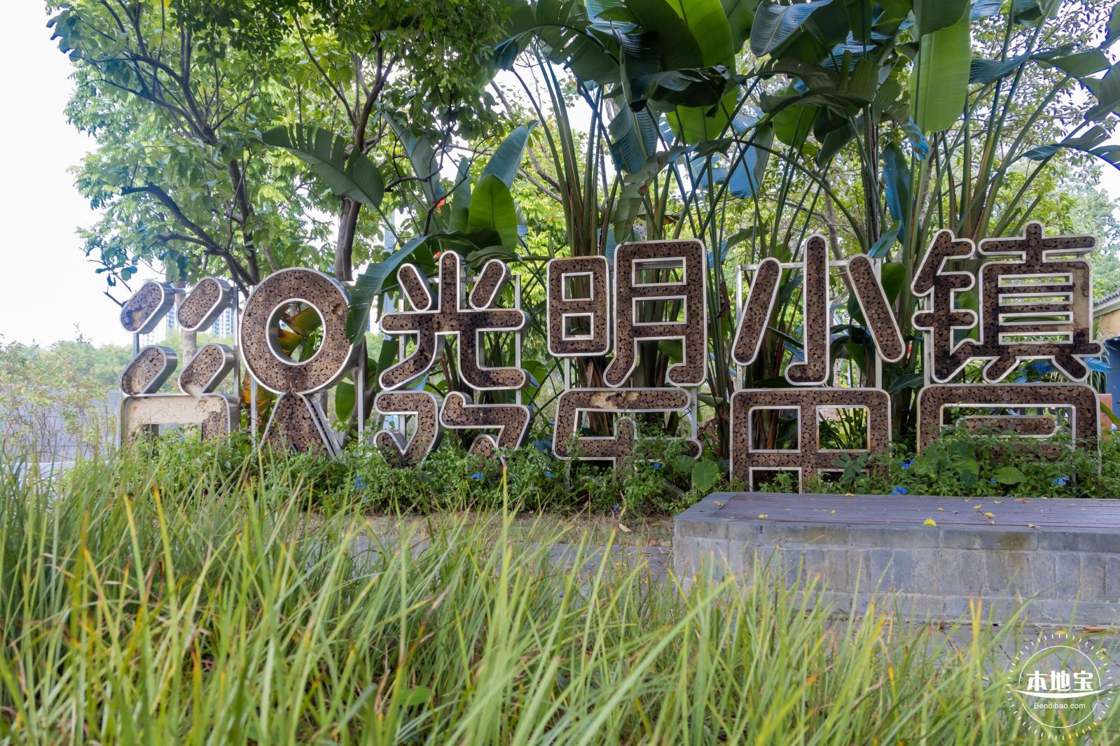 光明欢乐田园风光