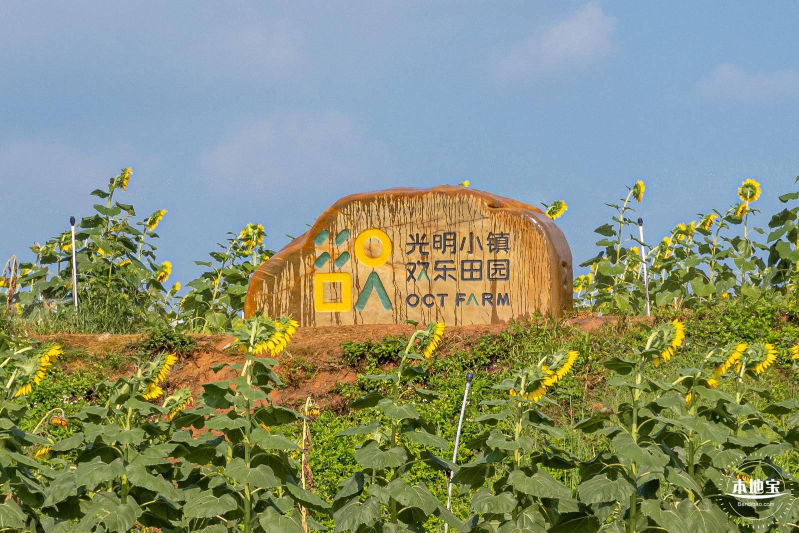 光明欢乐田园风光