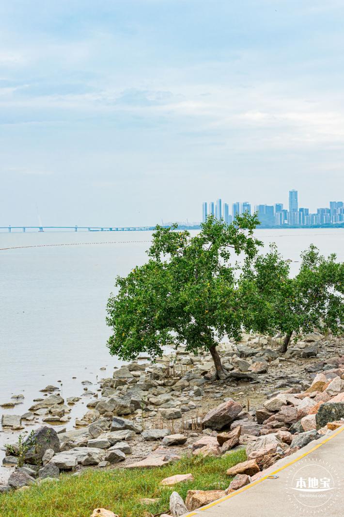 深圳湾公园