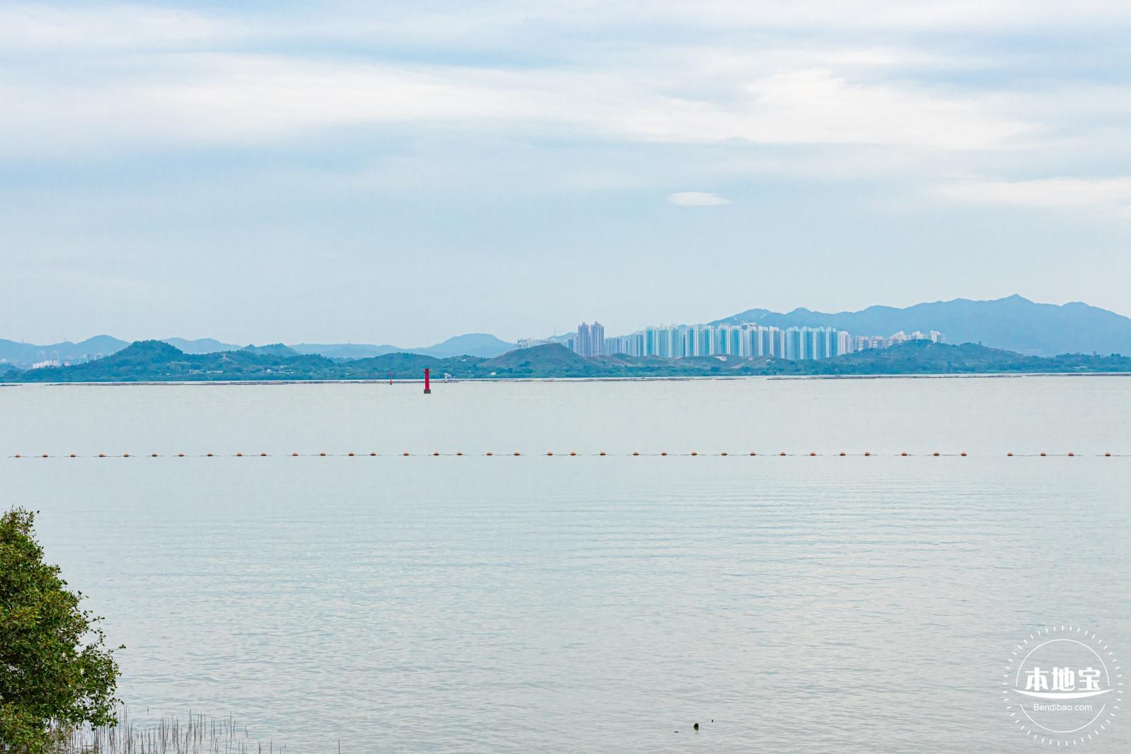 深圳湾公园