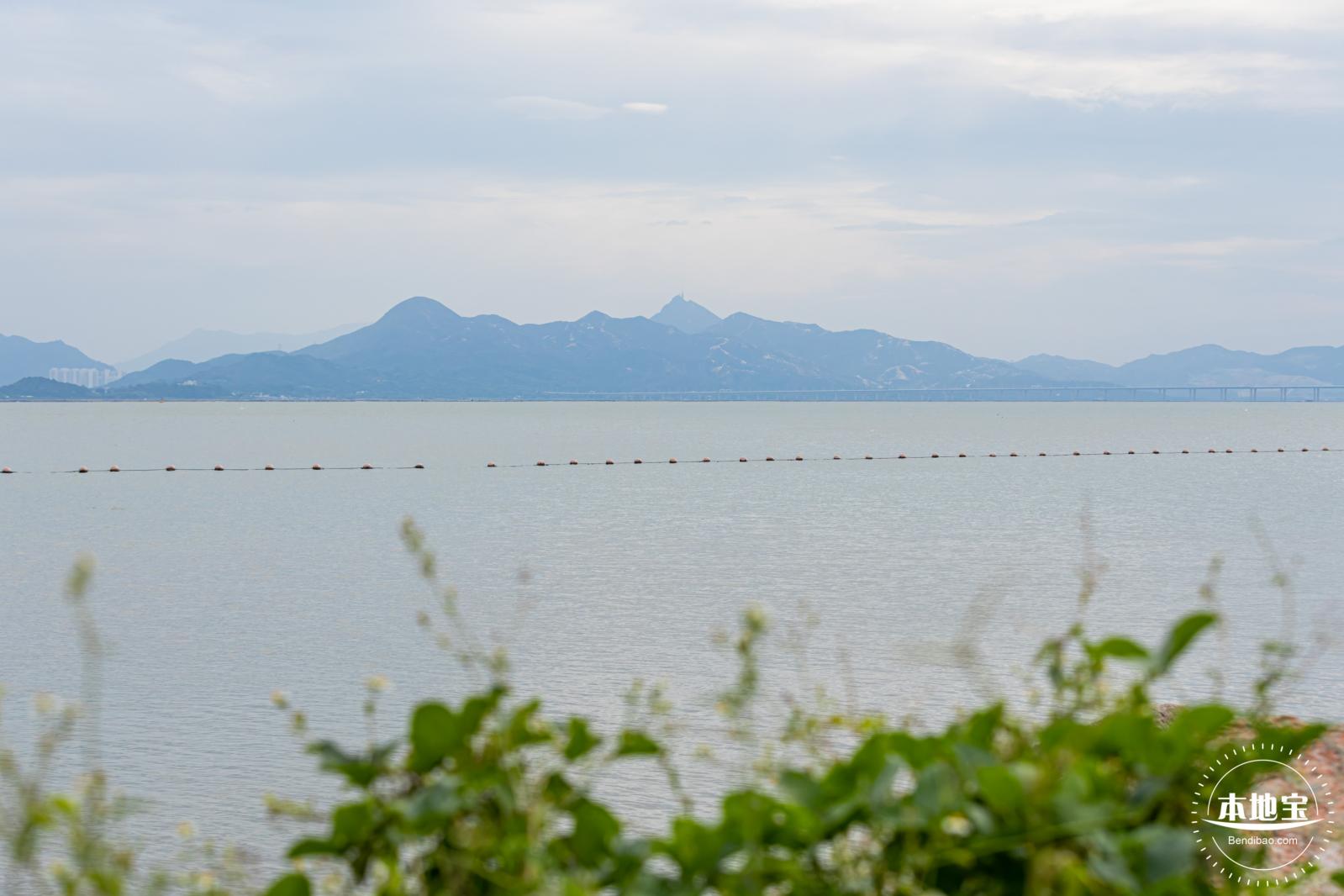 深圳湾公园