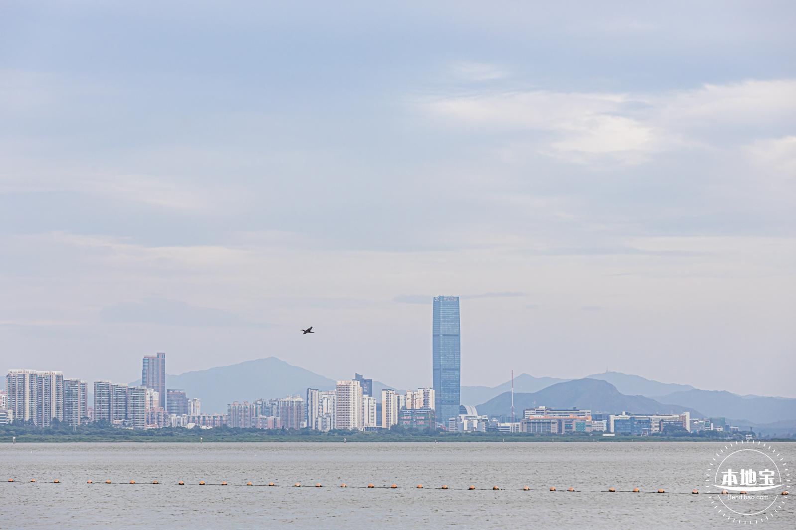深圳湾公园