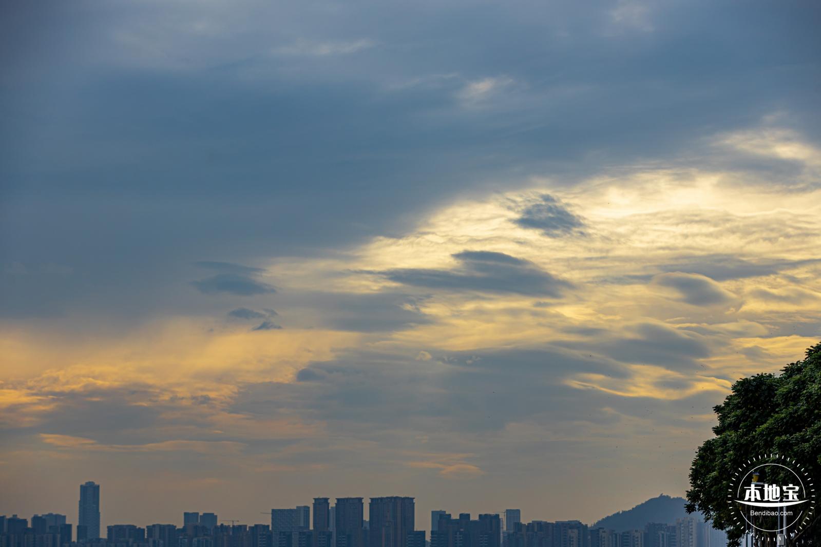 深圳湾公园