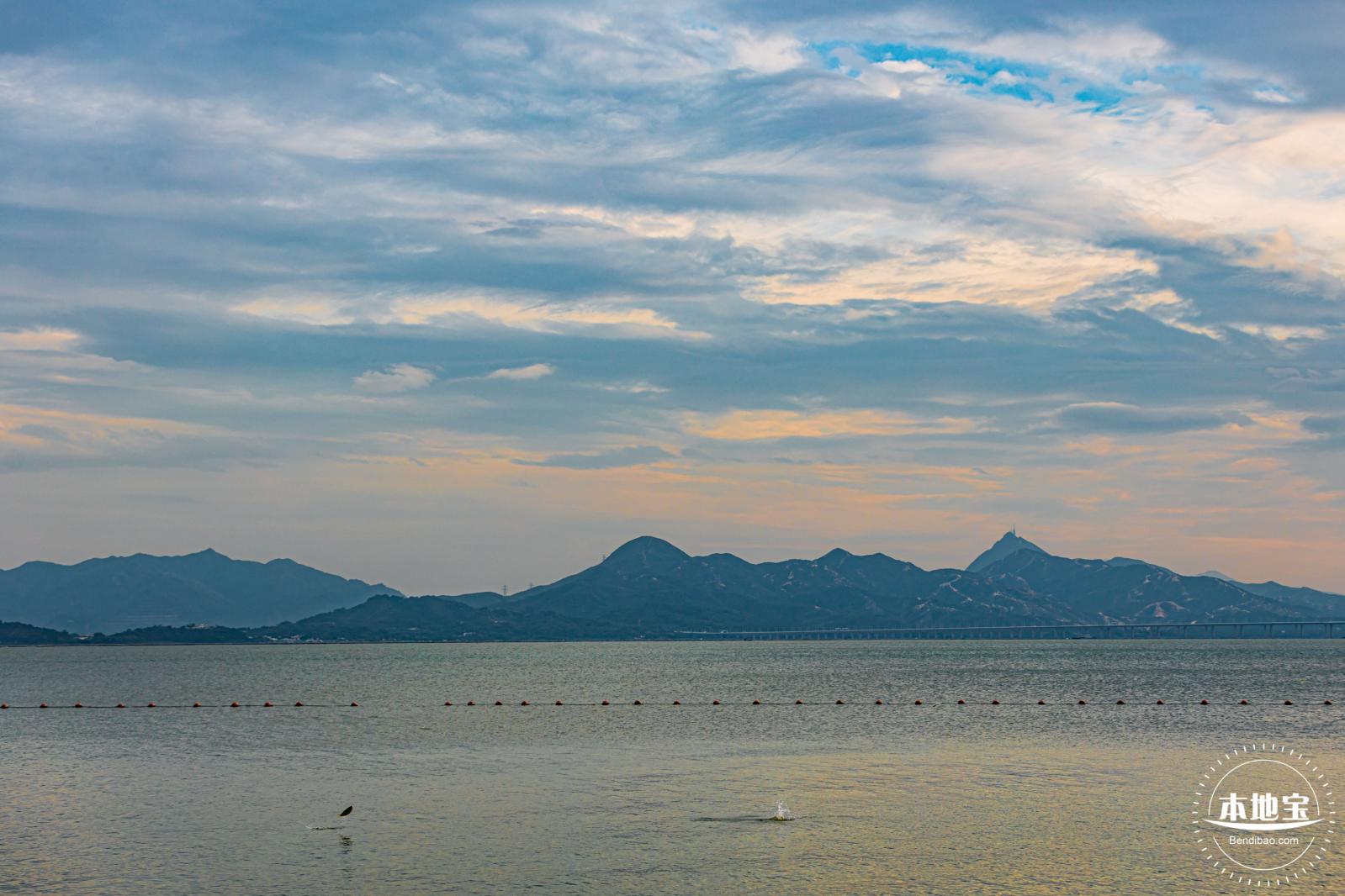 深圳湾公园