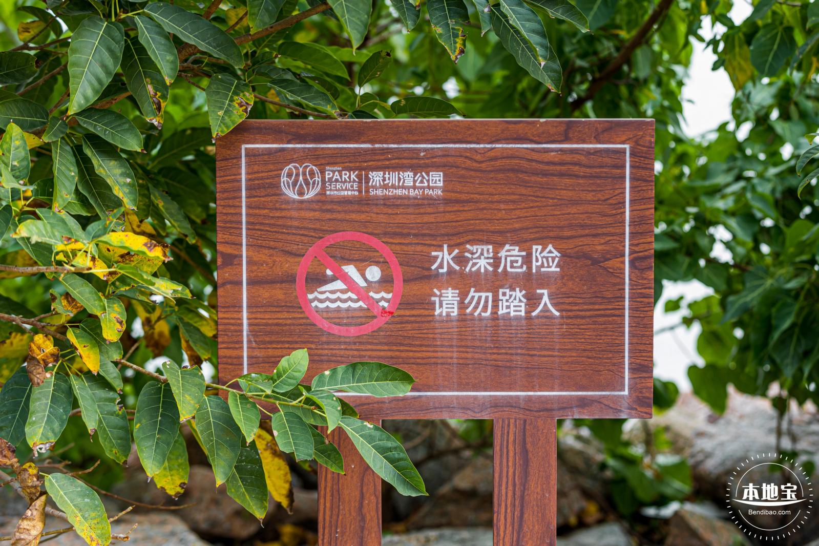 深圳湾公园