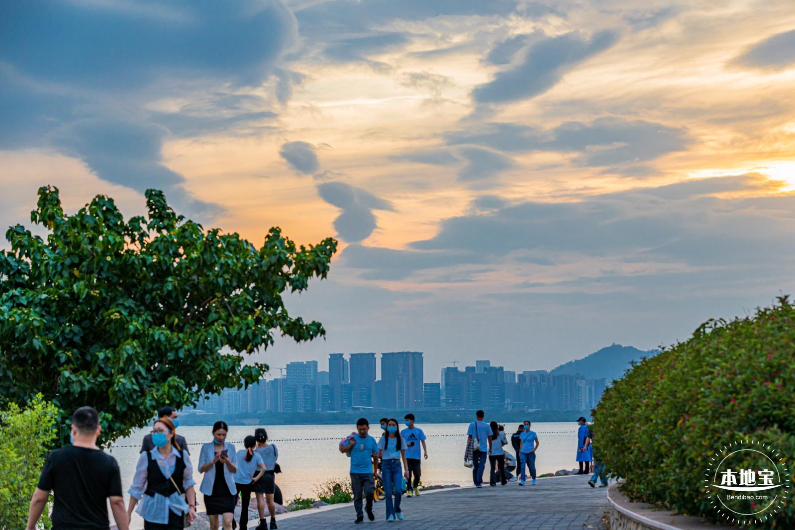 深圳湾公园